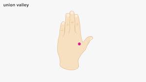 pressure points for anxiety 6 points to try for relief