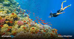 Top 30 Snorkeling Spots In The Philippines Hidden Gems