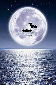 Image By Annahang Amazing Pictures Hd Hd Cool Wallpapers Amazing Hd Wallpapers