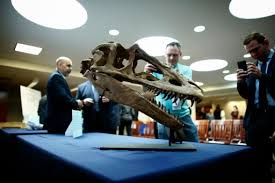 The remaining eight dinosaur bones are only available very late in red dead redemption 2. Us Hands Over Looted Dinosaur Fossils To Mongolia