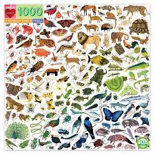 Check spelling or type a new query. Eeboo A Rainbow World 1000 Piece Puzzle Family Jigsaw Puzzles At Crafts4kids Co Uk