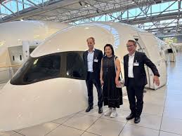 Image result for Tan 2009 Fleet