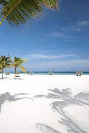 Home Tempo Da Delicadeza Beach Beautiful Beaches Beaches In The World