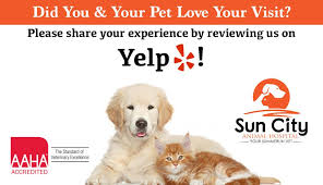We believe in treating every patient as if they were our own pet, and giving them the same loving attention and care. Sun City Animal Hospital Do You And Your Pet Love Sun City Animal Hospital Please Share Your Experiences By Reviewing Us On Yelp Yelp Com Biz Sun City Animal Hospital Las Vegas Facebook
