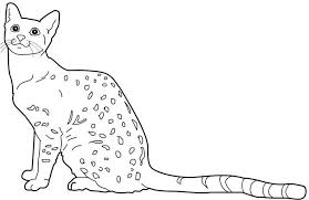 Egyptian Cat Cats Coloring Pages For Teens And Adults Cat Coloring Page Egyptian Cats Coloring Pages
