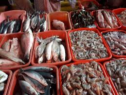 Karunia seafood (depot ikan laut) kabupaten banyumas, jawa tengah : Berburu Ikan Segar Di Pasar Ikan Mina Usaha Jetis Cilacap Jawa Tengah Bambang Irwanto Ripto