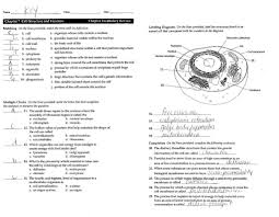 Animal cell coloring page from biology category. Biology Worksheets Answers Biology Worksheets Answers With Biology Corner Worksheets Answe Cells Worksheet Cell Membrane Coloring Worksheet Biology Worksheet