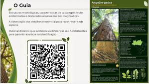 Pesquisadores criam guia in&eacute;dito para identificar &aacute;rvores nativas de MT | Rdnews - Principais not&iacute;cias de Cuiab&aacute;, V&aacute;rzea Grande e Mato grosso