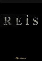 Reis Izle Tek Parca Reis Full Izle 720p Kalitede Reis Sinema Cekimi Izle Filmin Aciklamasi Filmde Adnan Menderes In Idam Ha Aksiyon Filmleri Tek Parca Hayat