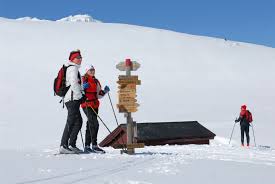 Take in the nearby slopes with downhill skiing and snowboarding, or check out other outdoor activities such as sledding. Ski The Peer Gynt Trail With Luggage Transfer Discover Norway Skiing Norway