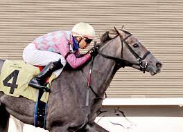 Prepara la stampante e clicca su stampa il disegno. Jack Carlino Archives Tdn Thoroughbred Daily News Horse Racing News Results And Video Thoroughbred Breeding And Auctions