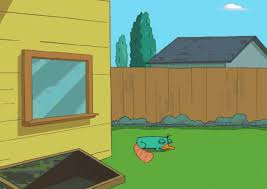 Constant updates of the best funny pictures on the web. Agent P Perry The Platypus Gif Agentp Perrytheplatypus Phineasandferb Discover Share Gifs