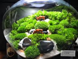 terarium scene terrarium scene garden terrarium mini garden