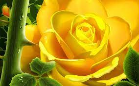 Free Yellow 3d Desktop Wallpaper Yellow 3d Wallpapers Rose Flower Wallpaper Yellow Rose Flower Rose Flower Pictures