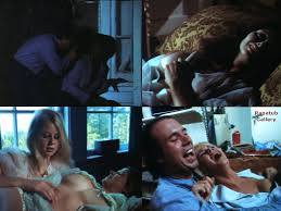 Three mental patients intrude into house and kidnap women