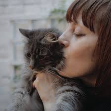 CAT EMPIRE: A docuseries about our obsession for cats