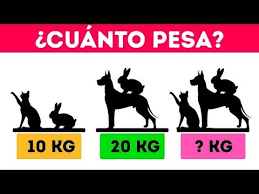 3 Acertijos Matemáticos Sencillos Que Reiniciarán Tu Cerebro - YouTube