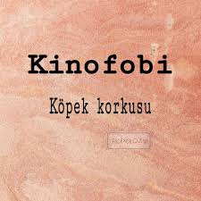 Kinofobi Psikoloji Winchester Sam Winchester