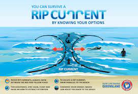 Rip Currents | Surf Life Saving Queensland