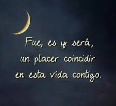 Palabras Frases Vida Amor Frases Bonitas Frases Sabias Frases Love