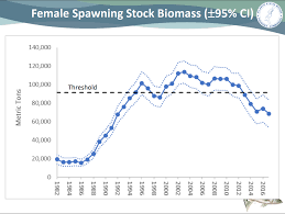 Striped Bass Stock Overview On The Water