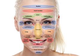 cogent reflexology of the face chart reflexology