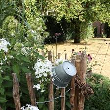 Guten Morgen Ich War Heute Schon Im Garten Und Hab Die Blumen Gegossen Den Rasen Giessen Wir Nicht Wie Man Sieht Das Sieht So Schlimm Plants
