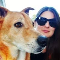 80+ "Foisy" profiles