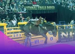 Nfr Live Stream National Finals Rodeo 2019 Live Online