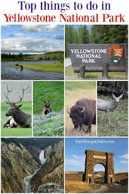 Things To Do In Yellowstone National Park Tips For Planning Your Vacation At This Bucke Yellowstone National Park National Parks National Parks Usa Road Trips