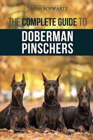 Stream dobaman by dark professor from desktop or your mobile device. The Complete Guide To Doberman Pinschers Preparing For Raising Training Feeding Socializing And Loving Your New Doberman Puppy Schwartz Tarah 9781952069871 Amazon Com Books