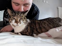 All time fav pic of my sweet Mac boy