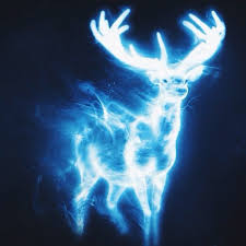 Are you as smart as hermione granger? Patronus Harry Potter Amino