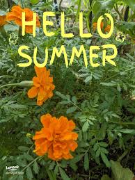 Image result for magnolia genia