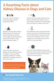 Chronic Kidney Disease What Does Kidney Failure In Dogs Really Mean Human Food For Dogs Cat Health Care Cat Care