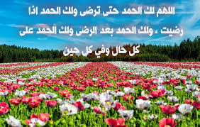 اللهم لك الحمد حتى ترضى ولك الحمد إذا رضيت ولك الحمد بعد الرضا ولك الحمد في كل حال وبعد كل حين Plant Nutrients Flower Field Beautiful Landscapes