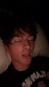 47 Flamingo/albert ideas in 2024