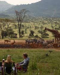 African watering hole photos and images. Top 5 Luxury Safari Waterholes The Luxury Safari Company