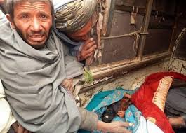 A női gyönyör hiánya a földön. Afganisztani Haboru Folyamatosan Emelkedik A Polgari Aldozatok Szama