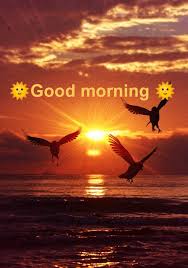 We did not find results for: Good Morning English Abstract Poem Rishita Prabhu