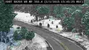 Check out our bigfoot bust selection for the very best in unique or custom, handmade pieces from our sculpture shops. Arizona Transit Agency Comes Clean About Bigfoot Picture Abc7 San Francisco