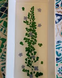 Profile for Pressed Petals by Theresa