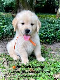 Redhead + green dress = (comment the rest of the equation)