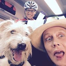 Writer Kate Spicer's manic hunt for Wolfy — the dog that saved her life