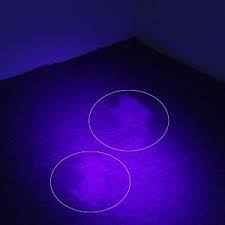 Pin On Best Pet Urine Detector Blacklight