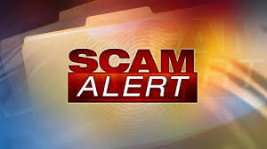 Image result for scam