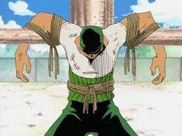 Pin On One Piece