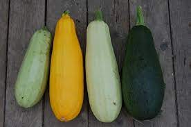 Puedes tomar otra taza de té o hay algo de jugo. If Calabaza Is Pumpkin In Spanish And Calabazita Is Zucchini Other Types Of Squashes What Is Little Pumpkin Pequena Calabaza Quora