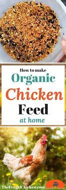 Organic Homemade Chicken Feed Recipe That Won T Break The Bank Pampered Chicken Mama Chicken Feed Organic Chicken Feed Chicken Diy