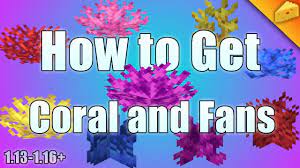 It has to be broken with a tool enchanted with silk touch , otherwise it will drop nothing. Easy Way To Farm Coral Fans And Coral Tutorial Minecraft Java Youtube